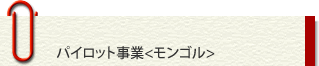 パイロット事業<モンゴル>