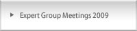 Expert Group Meetings 2009