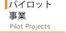 パイロット事業