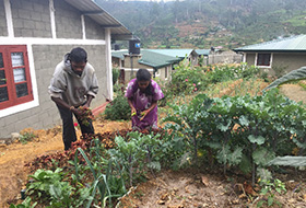Permanent Home for the Kalimuththu Family in Diyagama Estate, Nuwara Eliya 